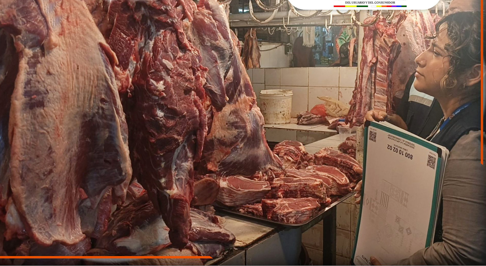 CARNE RES 070425