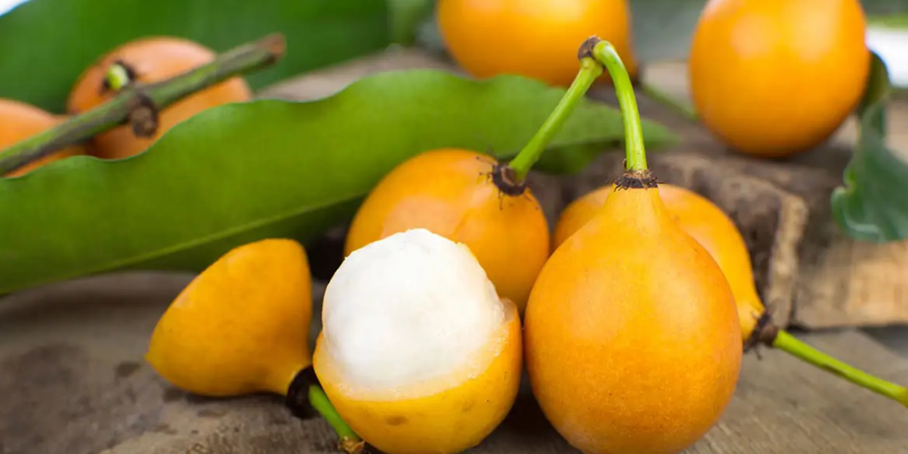 El achachairú es un fruto de dos semillas con la pulpa comestible, de color blanco, con un sabor agridulce.