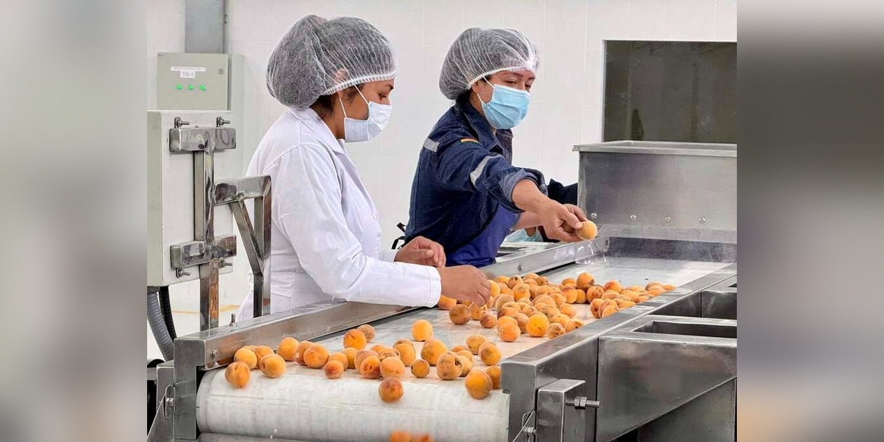 El complejo industrial de chirimoya y durazno está a un paso de su entrega
