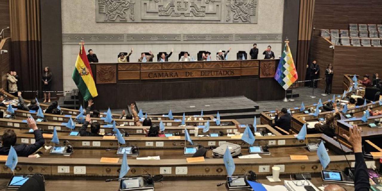 Una sesión en  la Cámara de  Diputados.