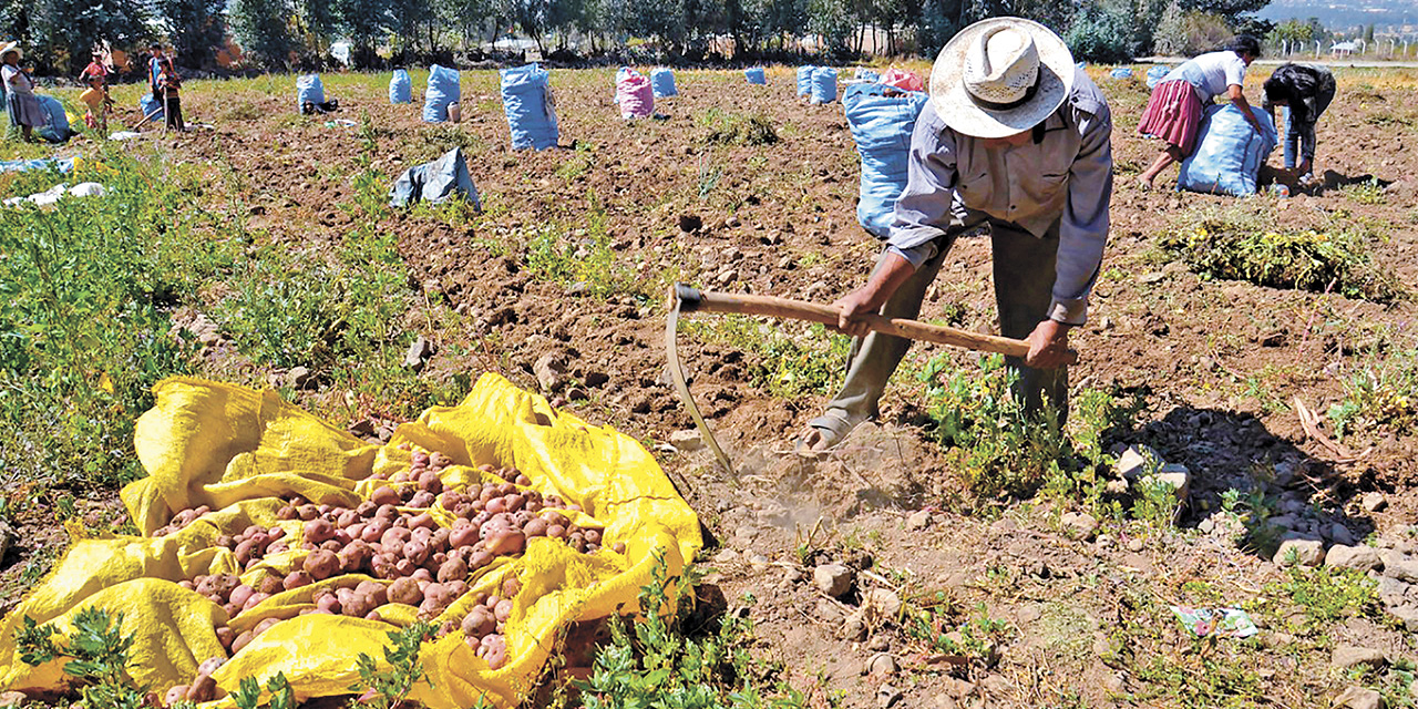 Comunidad de San Lucas. 