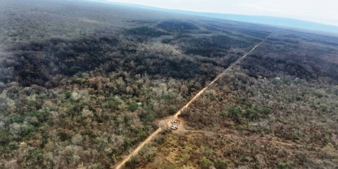 Afectación por los incendios en el área protegida Ñembi Guasu.