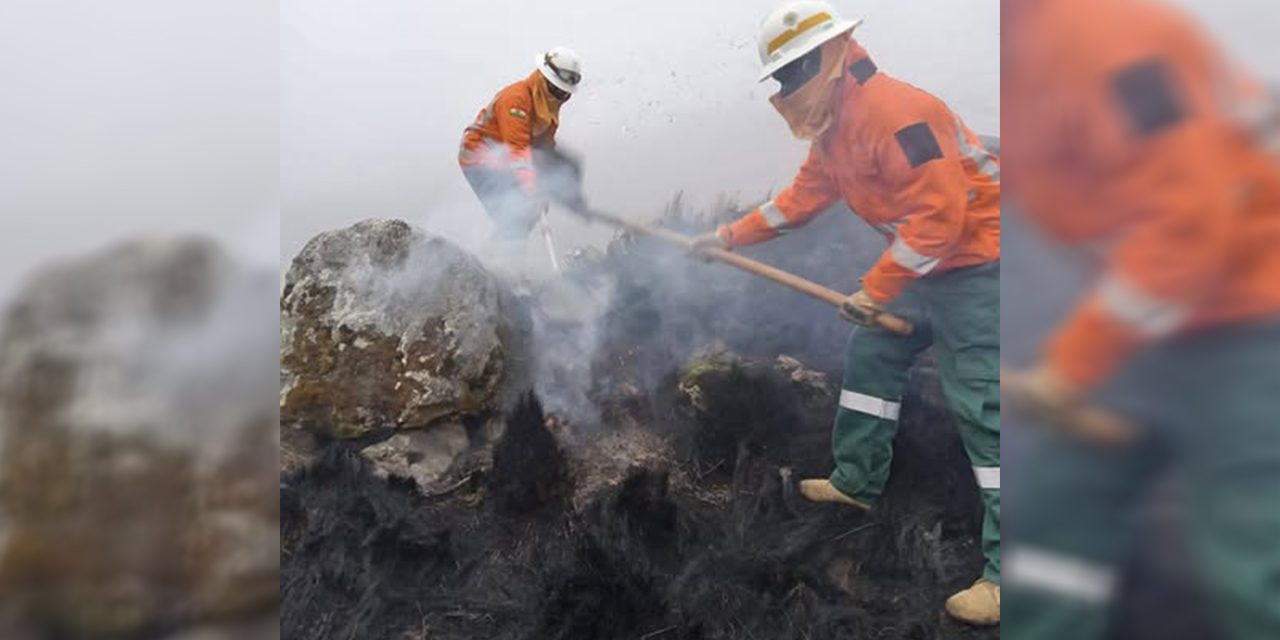 Gobierno activa ofensiva aérea y militar para controlar y sofocar los incendios