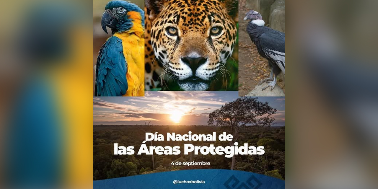 Publicación del Presidente Luis Arce sobre las áreas protegidas del país.