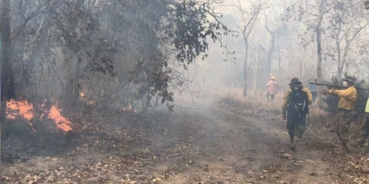 El fuego arrasó varias hectáreas en Santa Cruz. | Foto: ABT