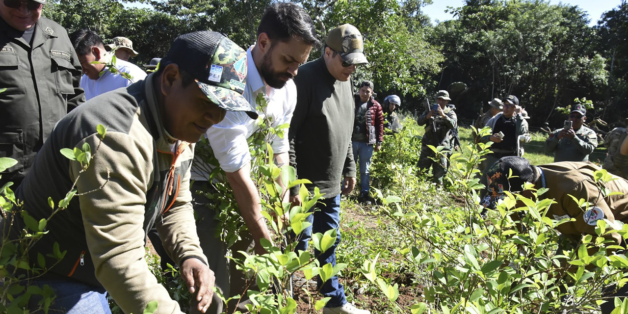 El ministro de Gobierno, Eduardo Del Castillo, durante los operativos de erradicación de cultivos de hoja de coca