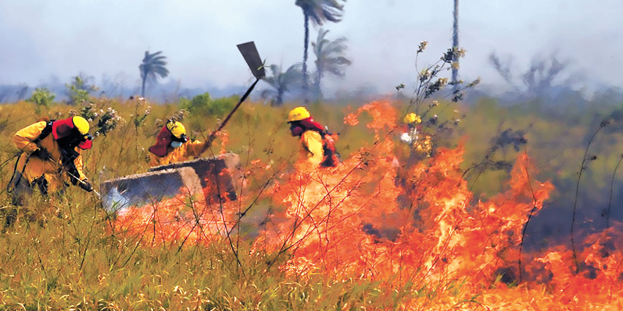 El Comando Conjunto de Respuesta ante Eventos Adversos sofoca un incendio forestal en el país. Foto: Archivo