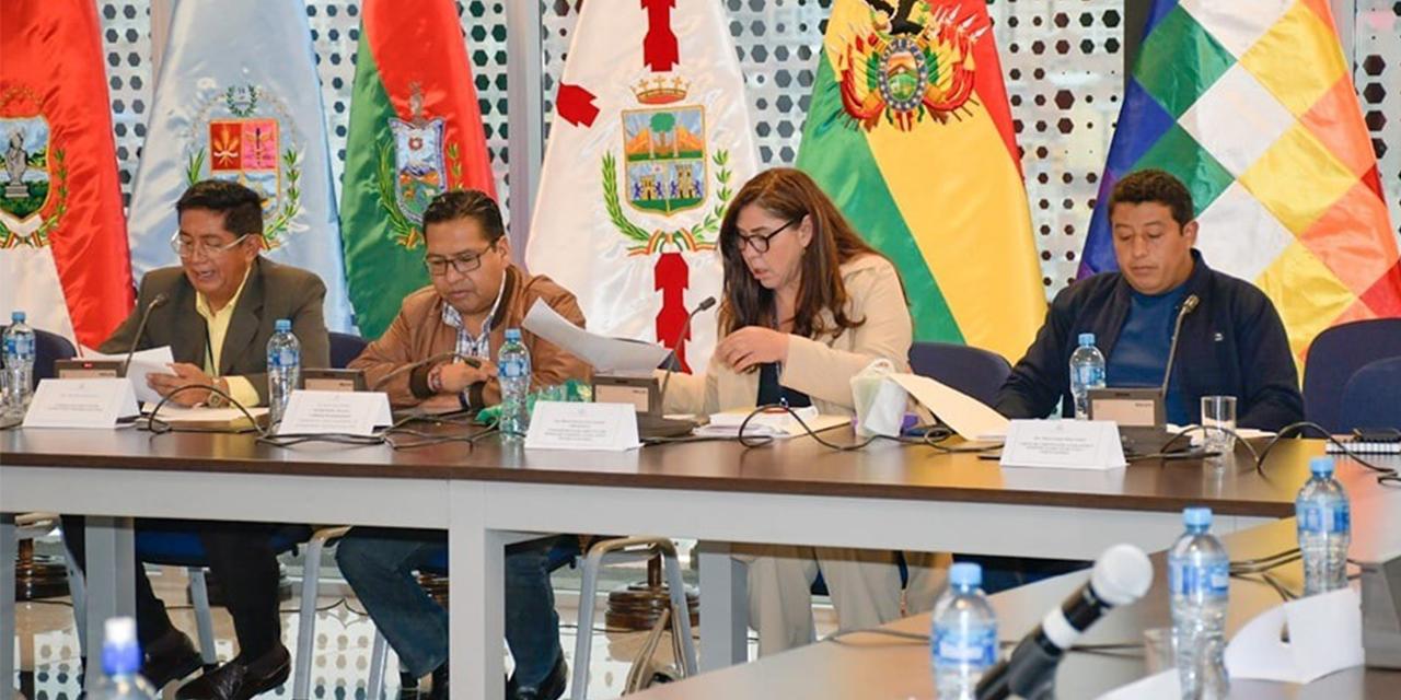 La Comisión Mixta de Constitución en el trabajo legislativo. (Foto: ABI)