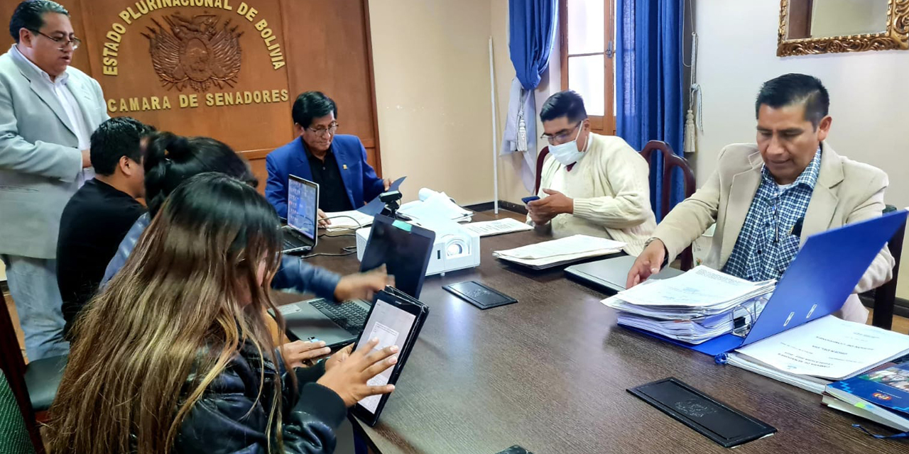 Trabajo de la Comisión Mixta