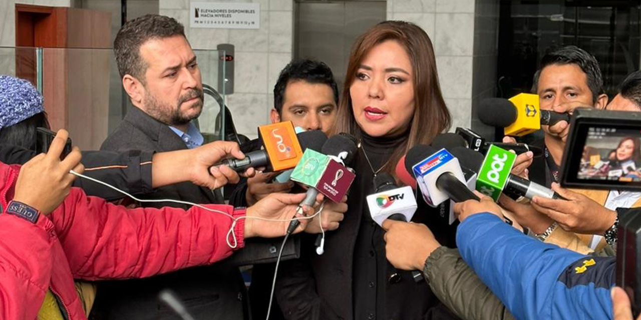 La viceministra de Comunicación, Gabriela Alcón.