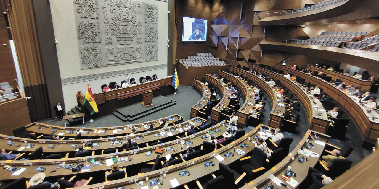 Vista del pleno de la Asamblea Legislativa Plurinacional. | Foto: Senado de Bolivia