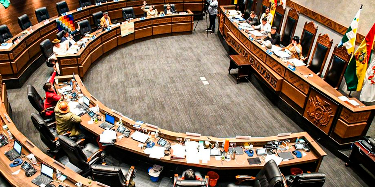 Cámara de Senadores en sesión. Foto: Archivo.