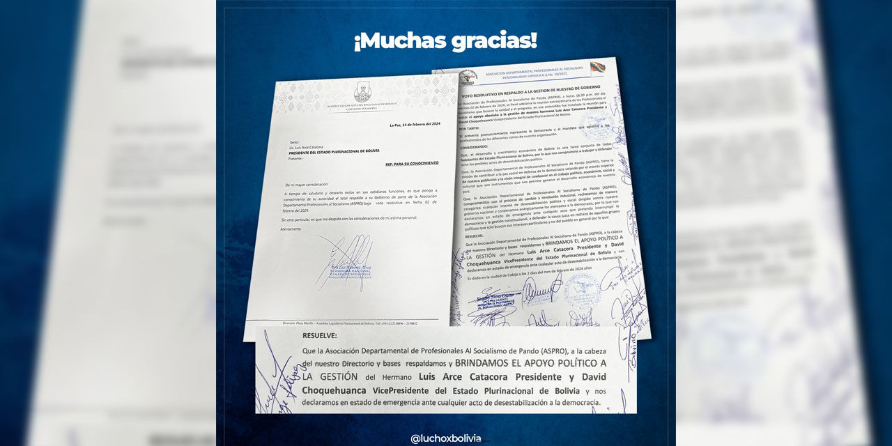 Voto resolutivo de la Asociación Departamental de Profesionales del MAS en Pando.
