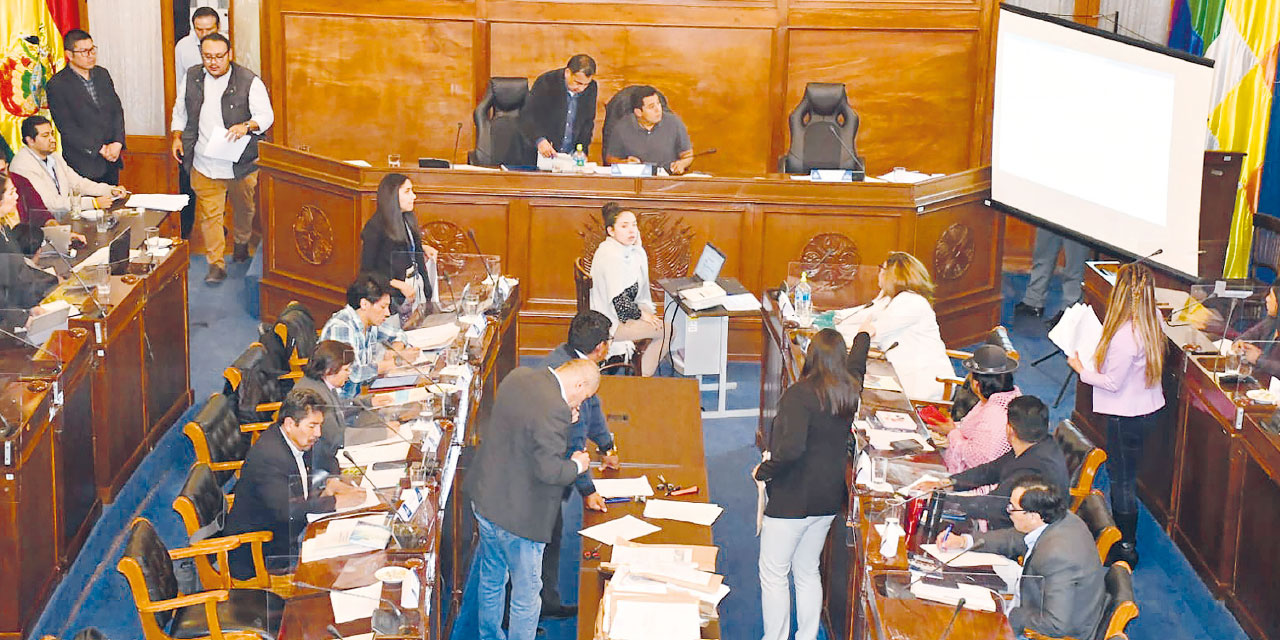 Una sesión de la Comisión Mixta de Constitución de la ALP. Foto: Archivo