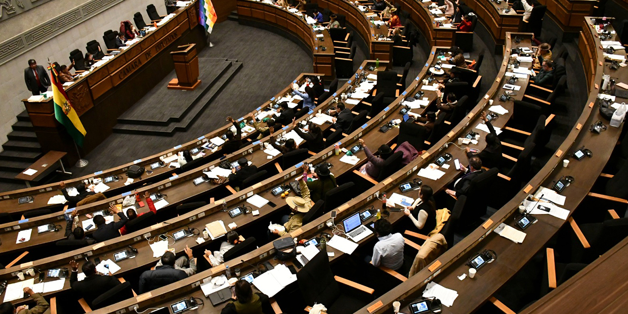 Una sesión en la Cámara de Diputados. Foto: Diputados
