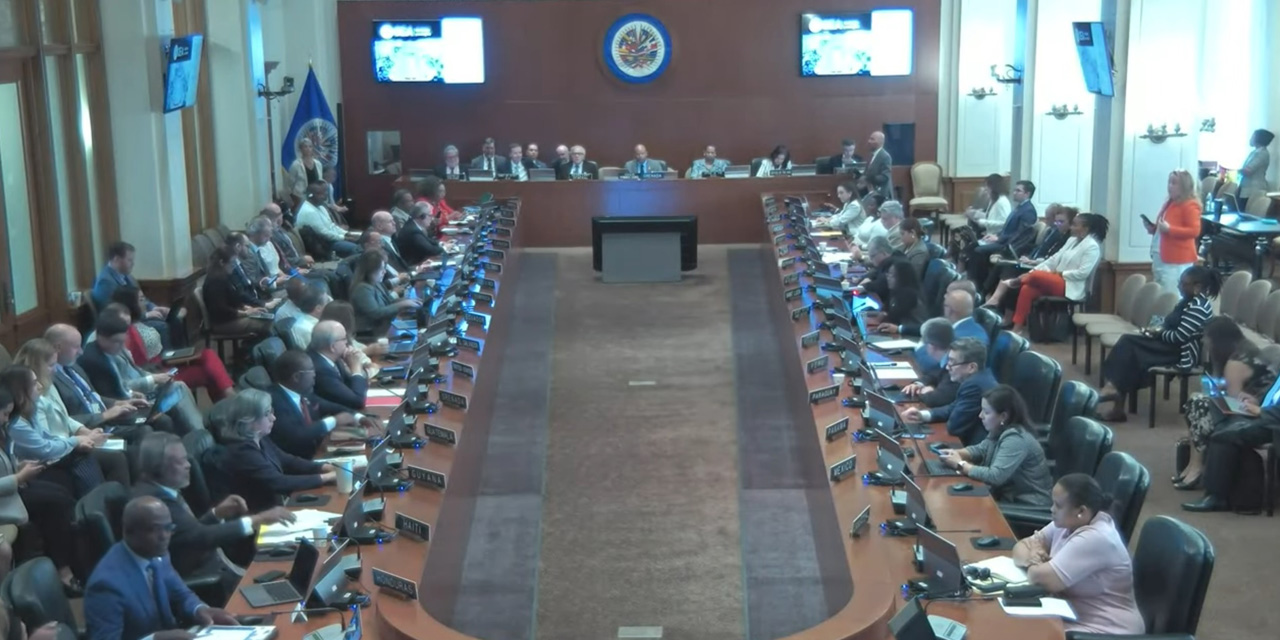 La sesión de la Organización de los Estados Americanos (OEA).