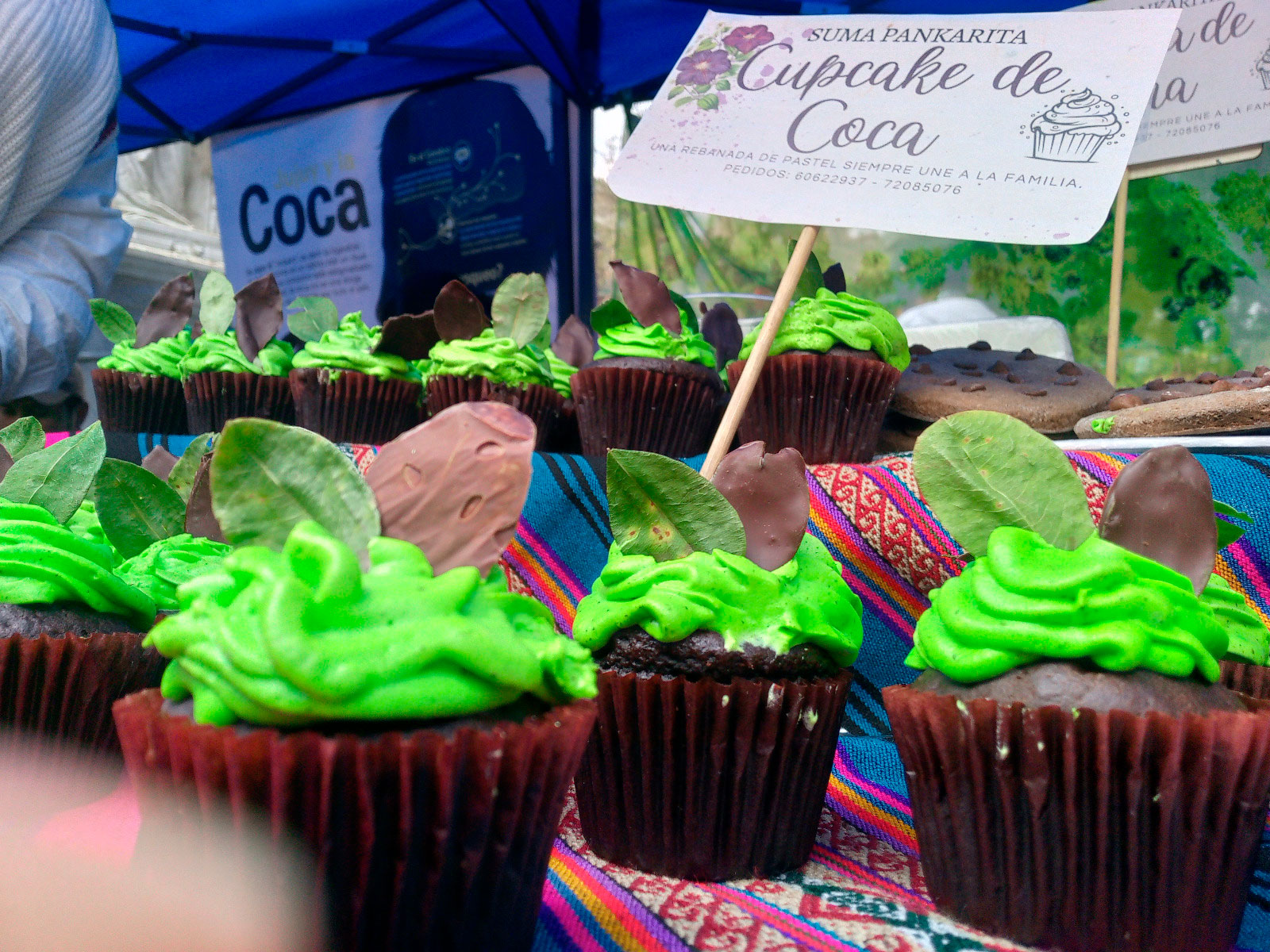 Hoja Coca 3 1324