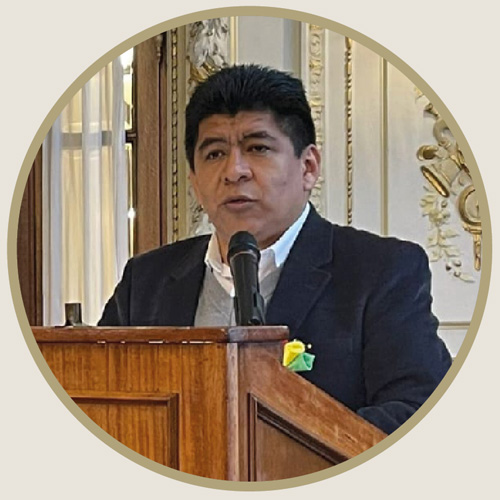 Darío Marcelo Gareca Cardozo